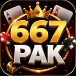 667PAK Game